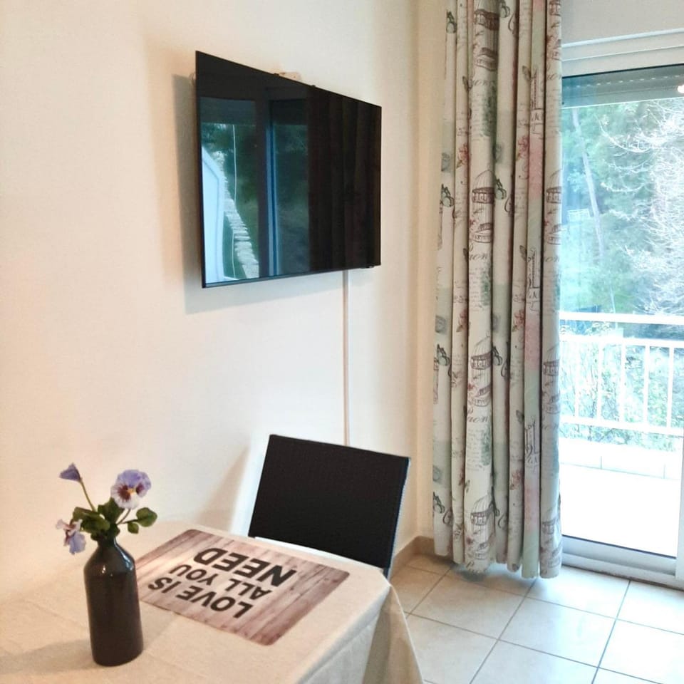TV and multimedia