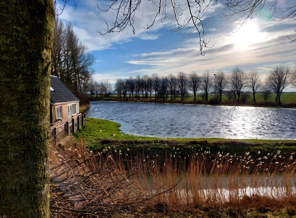 Day, Winter, Lake view