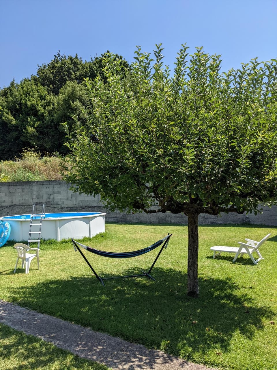 Garden, Swimming pool