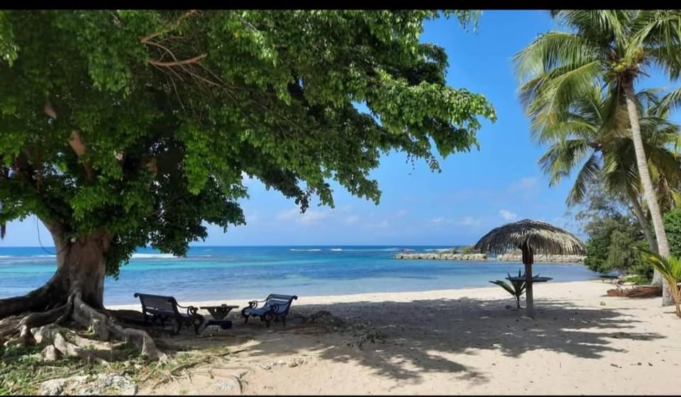 Chamb'Bouchons Vacation rental in Grande-Terre, Guadeloupe