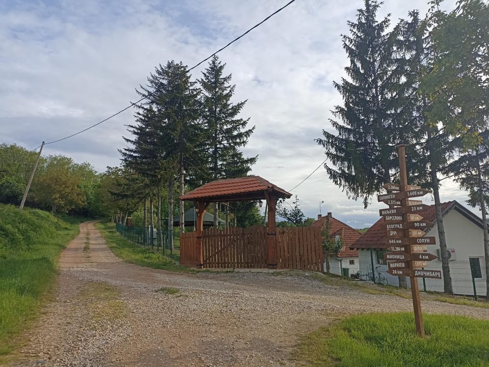 Neighbourhood, Garden, Street view
