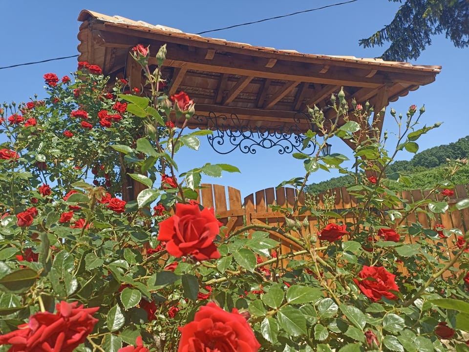 Garden, Garden