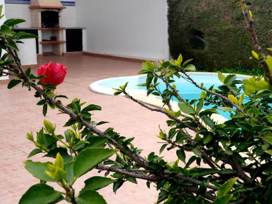 LOVELY BEACH HOUSE moradia V4 com piscina House in Faro District