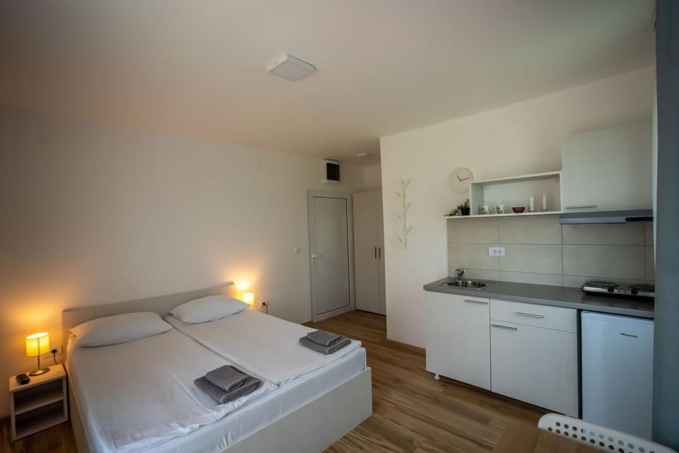 Smeštaj Milutinn-Trešnja, centar Sokobanje, iza Miloševog konaka Apartment in Serbia