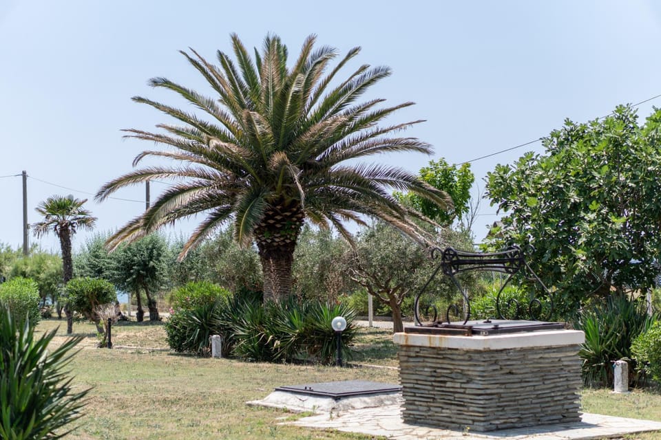 Garden, Garden view