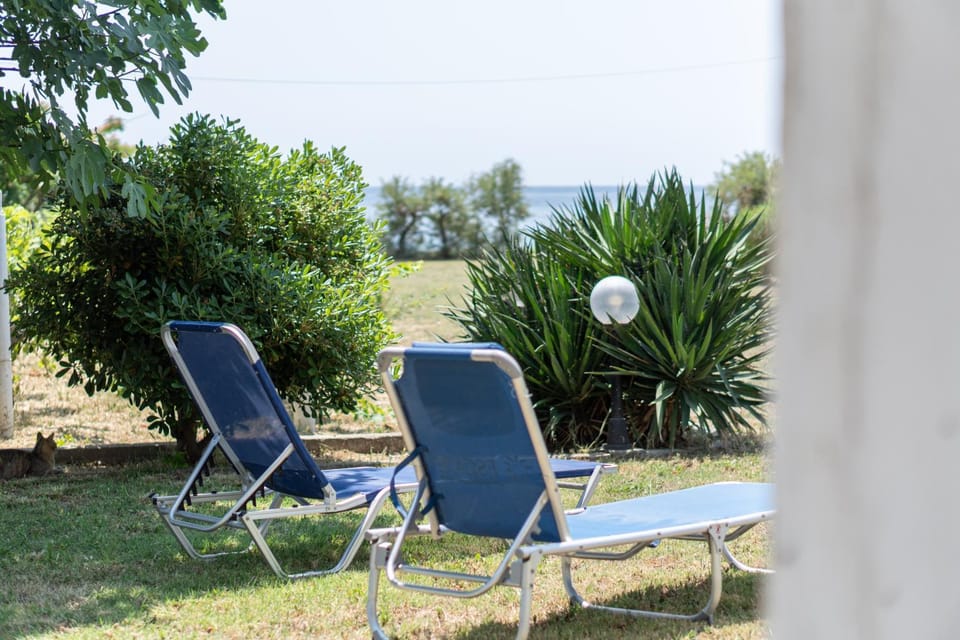Garden, Garden view, sunbed