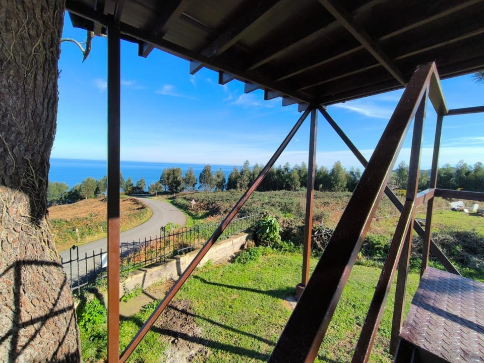Natural landscape, Garden, View (from property/room)