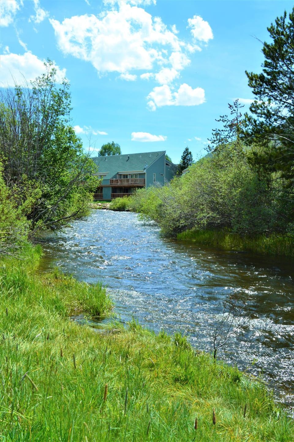 Property building, Natural landscape, Area and facilities