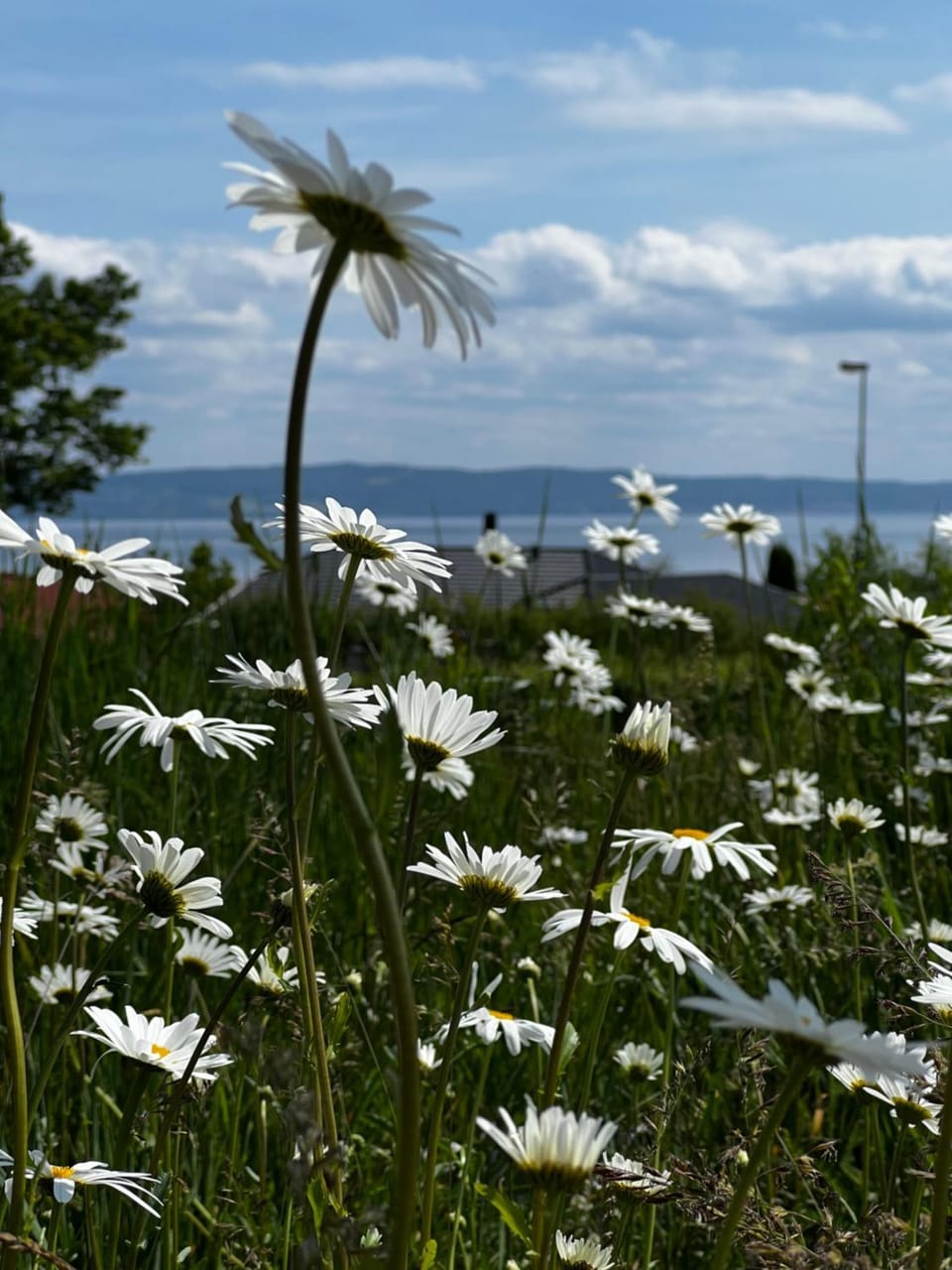 Natural landscape