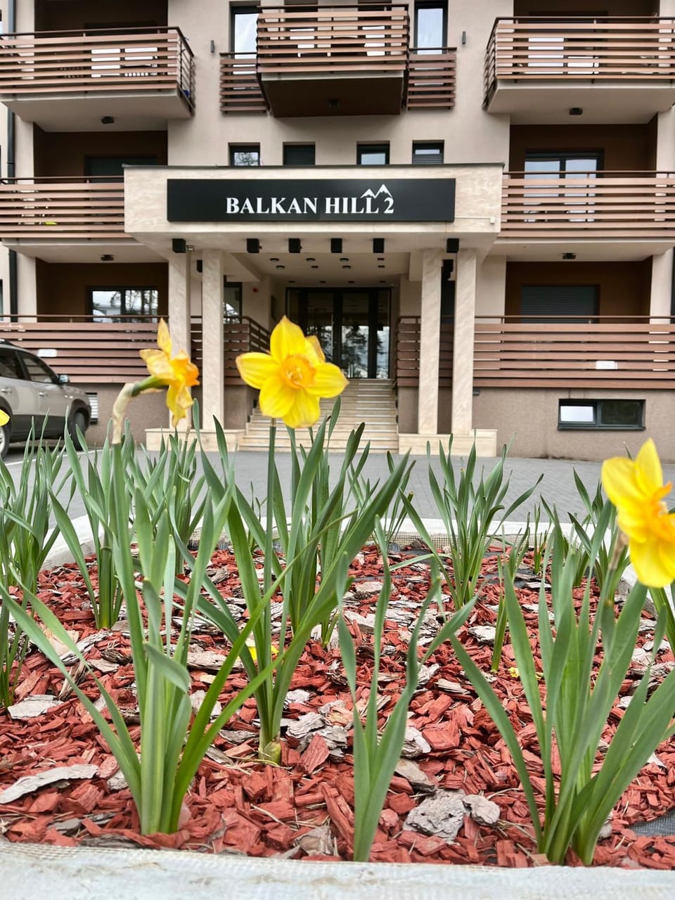BalkanHill2 S37 Pekovic green Apartment in Zlatibor