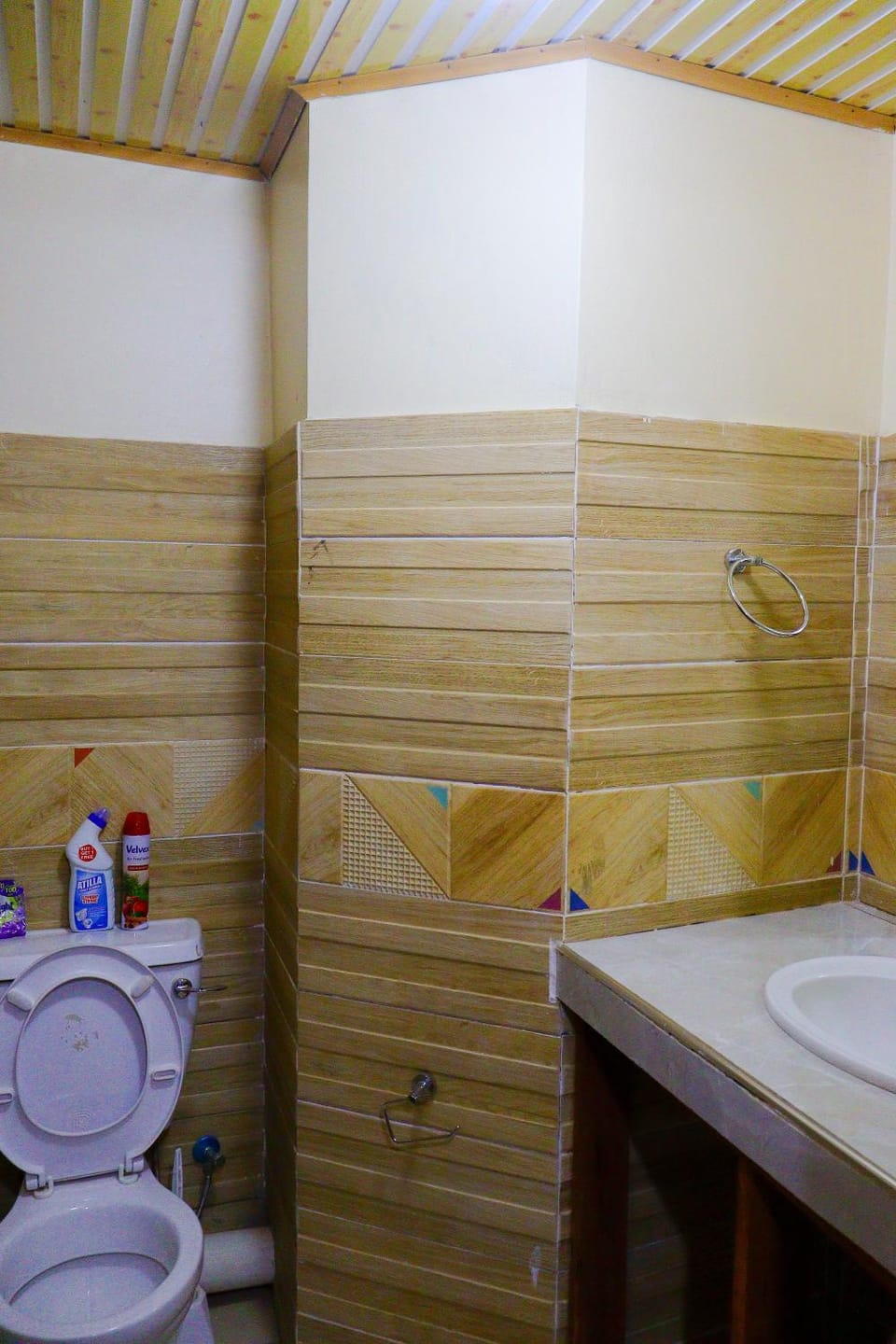 Toilet, Bathroom