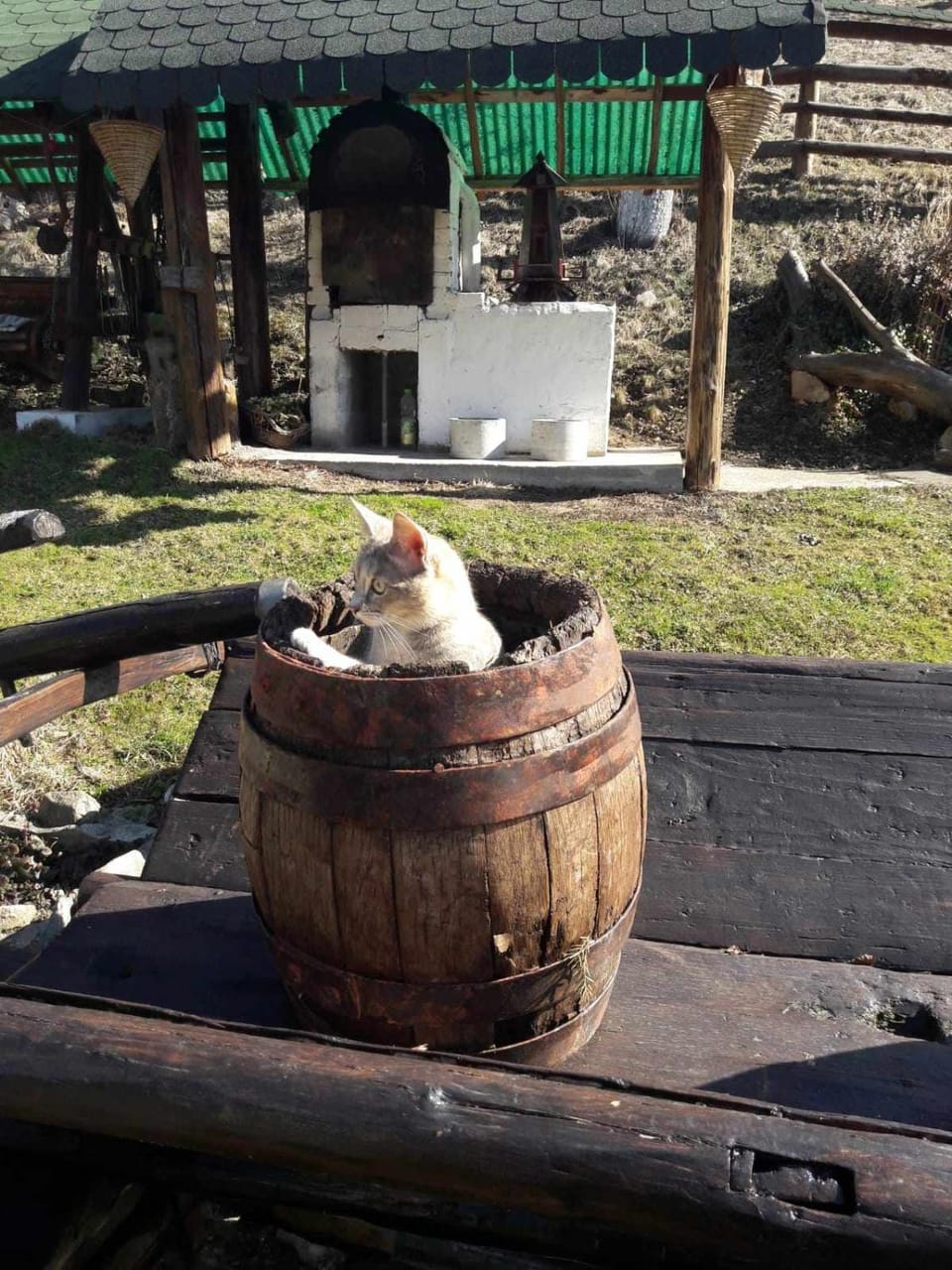 BBQ facilities, Decorative detail, Pets