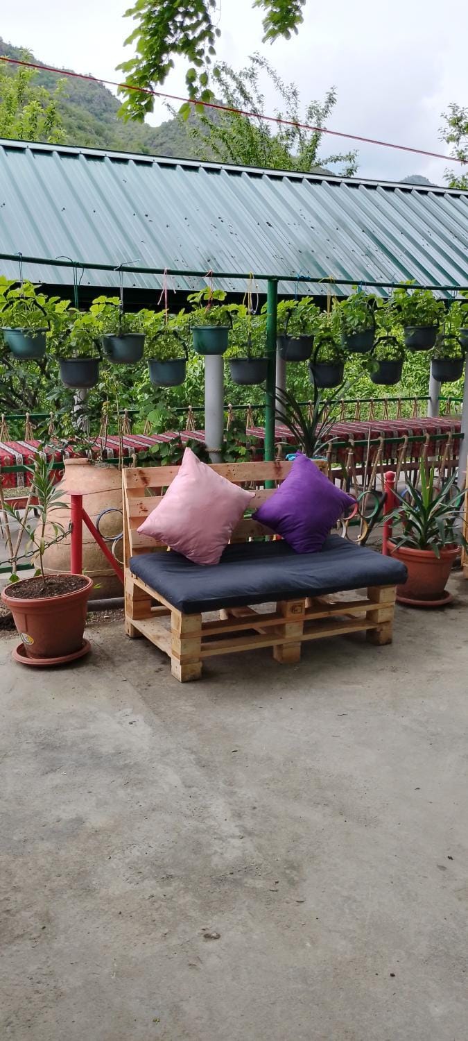 Patio, Day, Garden view