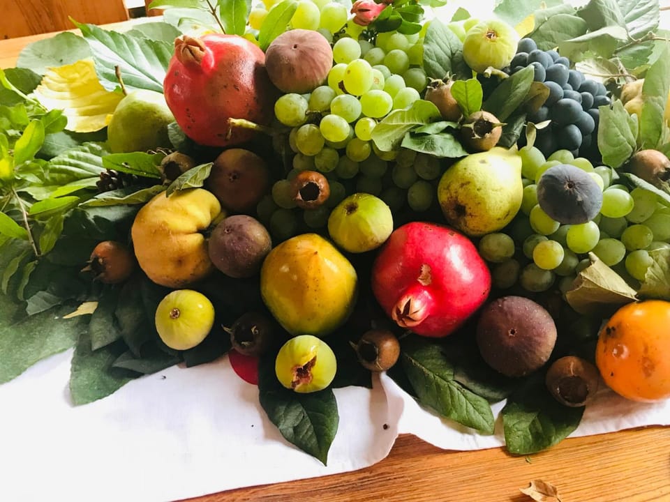 Food close-up