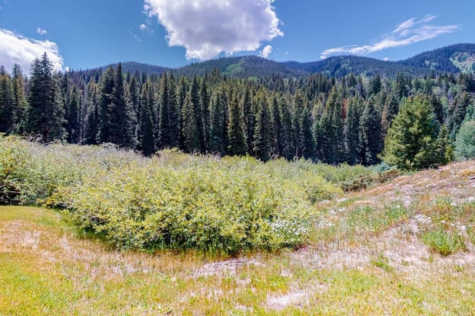 White River Lodge House in Vail