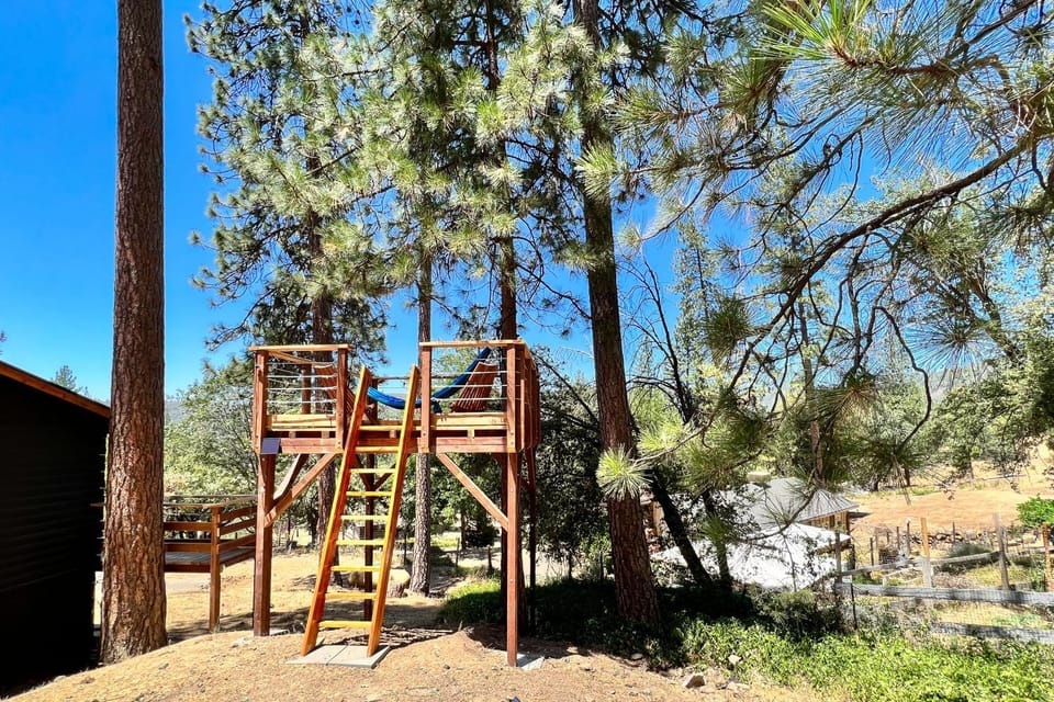 Sugar Pine Log Cabin Cabin in Sierra Nevada