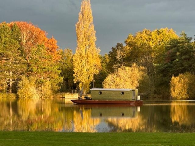 Lake view