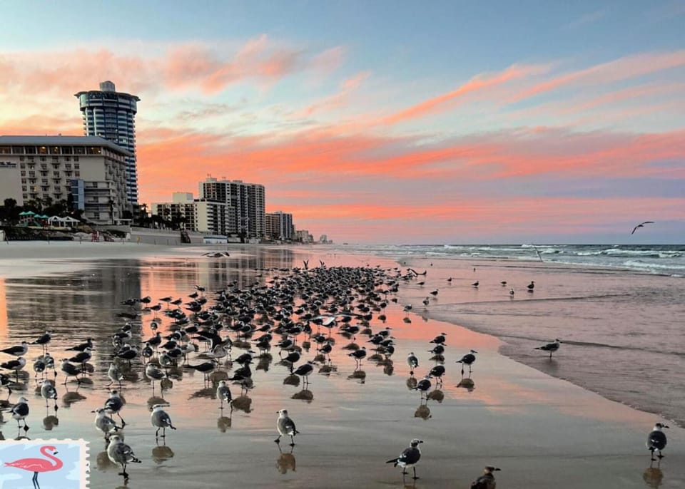 "SHERWIN" Beautiful 2 BR Oceanfront Condominium By The Sea 602 Apartment in South Daytona