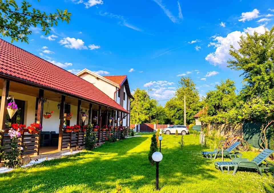 Natural landscape, Garden, Garden view, Parking