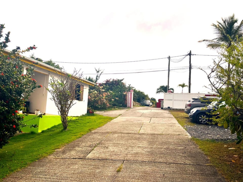 LES BUNGALOWS DE LOUISIANE House in Grande-Terre, Guadeloupe