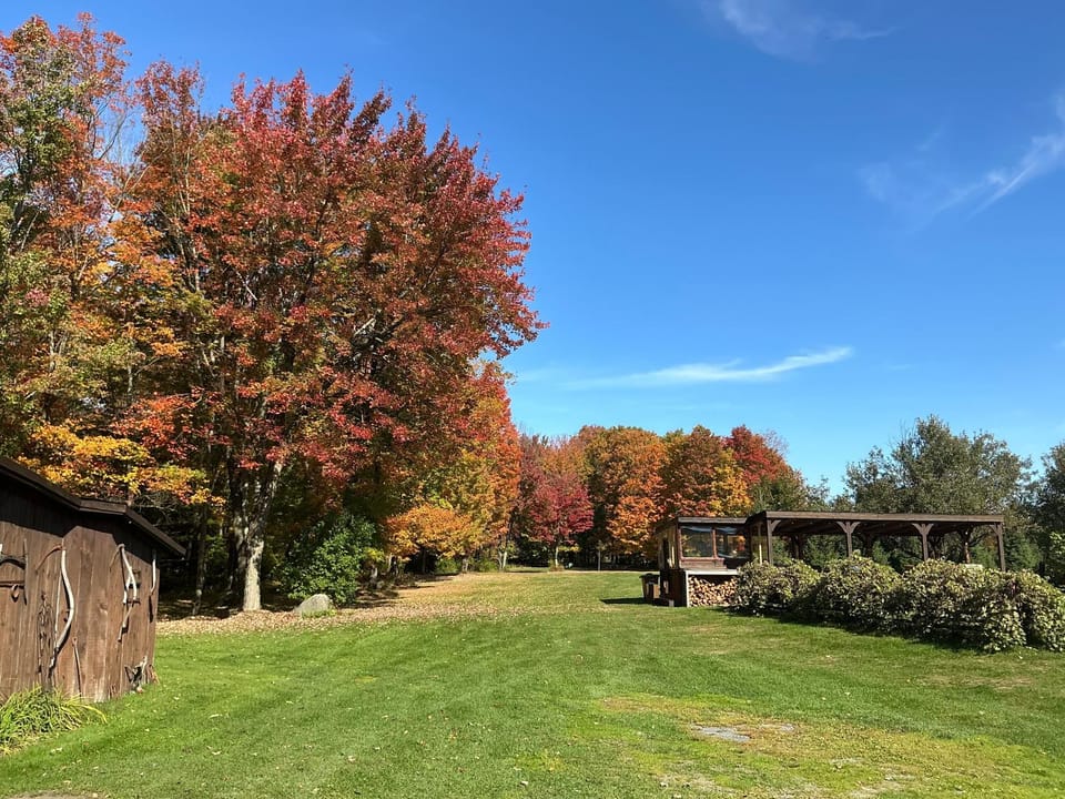 Natural landscape, Garden view