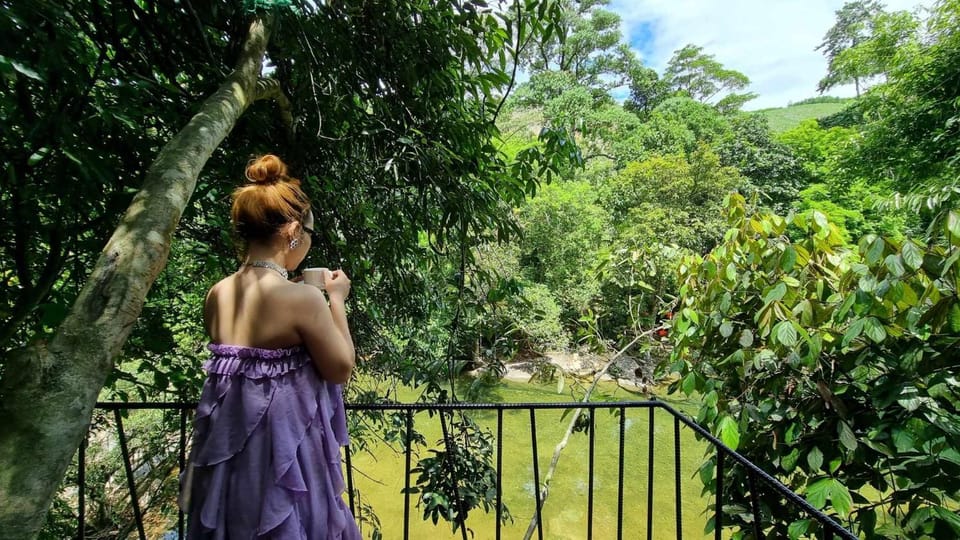 Day, Natural landscape, View (from property/room), Balcony/Terrace, Garden view, Pool view, Swimming pool, group of guests