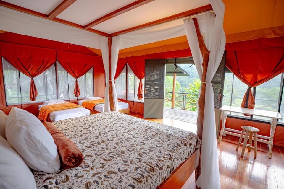 Bed, Natural landscape, Photo of the whole room, Bedroom