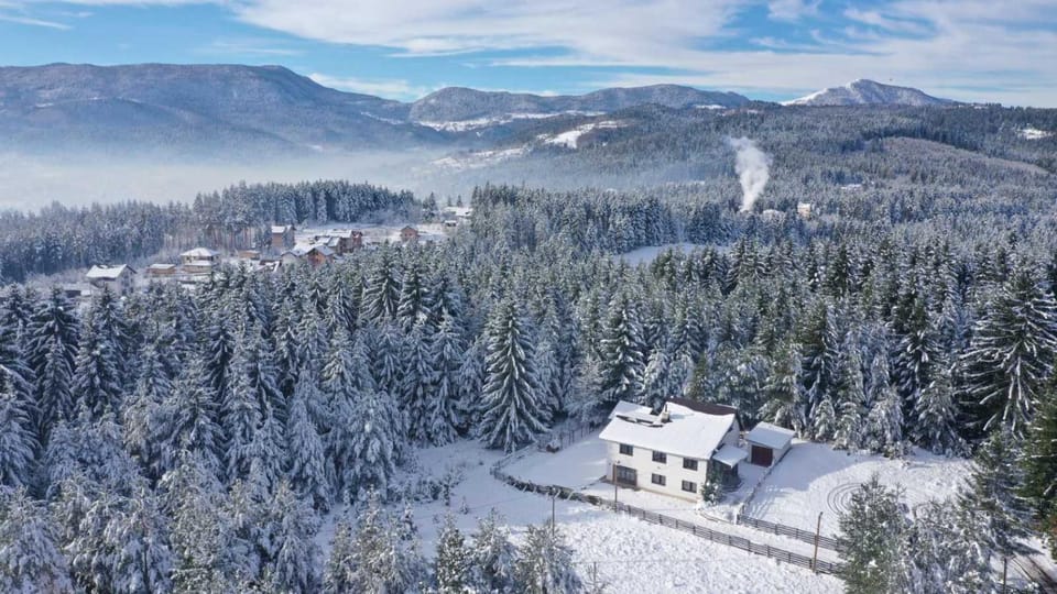 Neighbourhood, Natural landscape, Bird's eye view