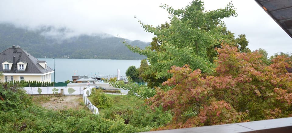 Lake view