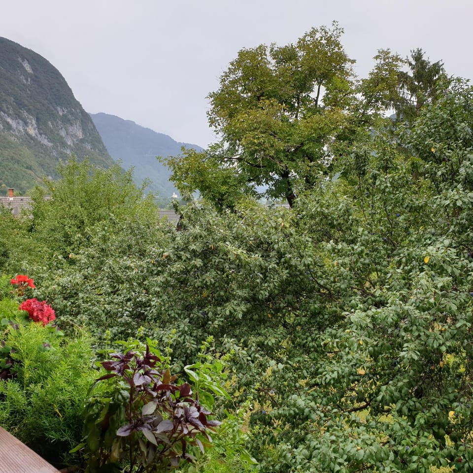 Apartmaji Pri Medvedu Studio Rudnica Apartment in Friuli-Venezia Giulia