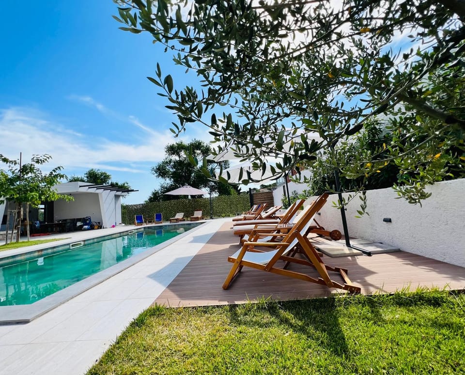Garden, Pool view, Swimming pool, sunbed