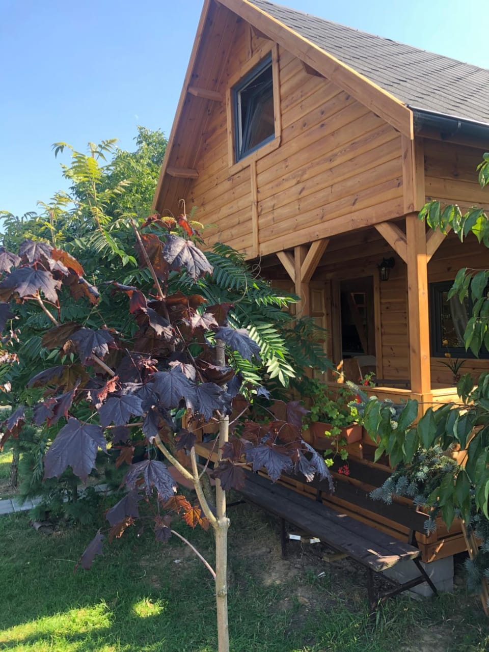 Domek pod Sumakiem House in Pomeranian Voivodeship