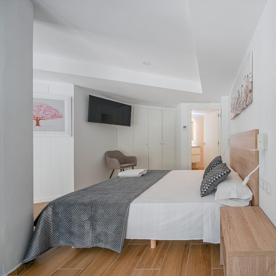 Luxury Duplex Valencia Apartment in Valencia