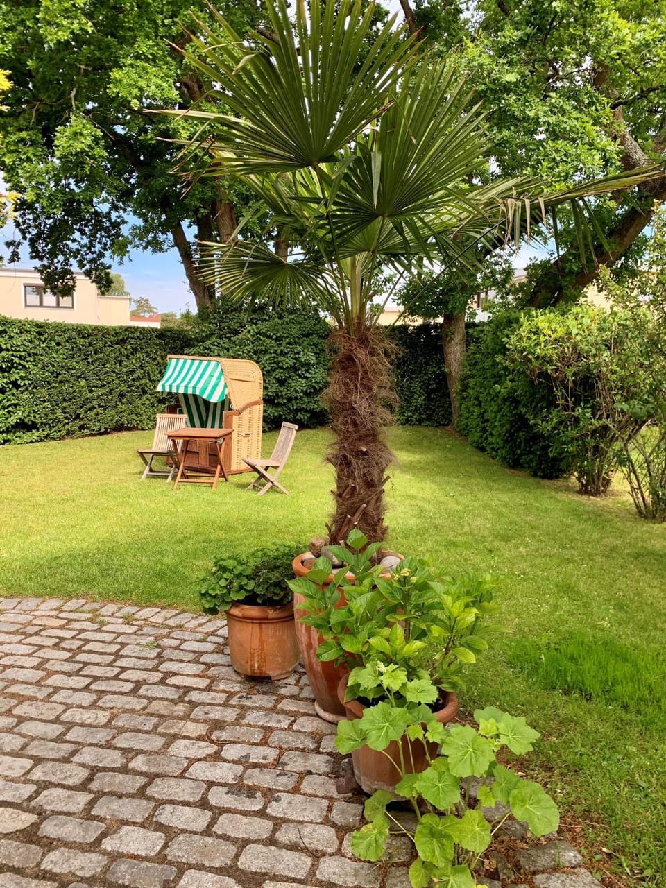 Garden view