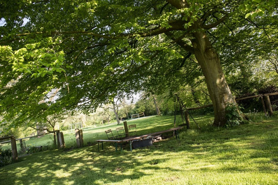 Day, Natural landscape, Garden