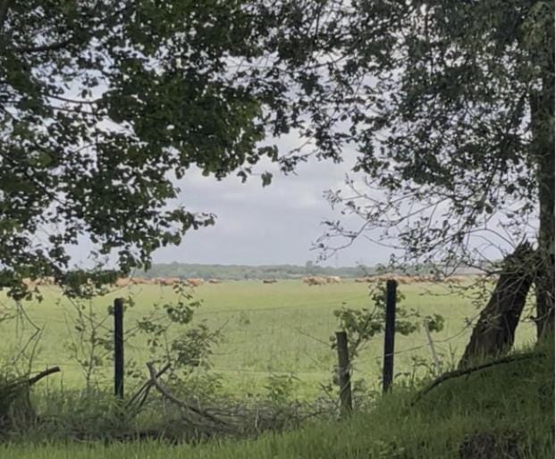 De Linde, boerderij in Drenthe voor 15 tot 30 personen House in Drenthe (province)