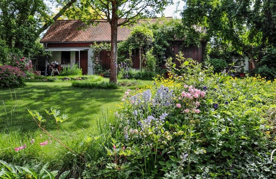 Property building, Garden