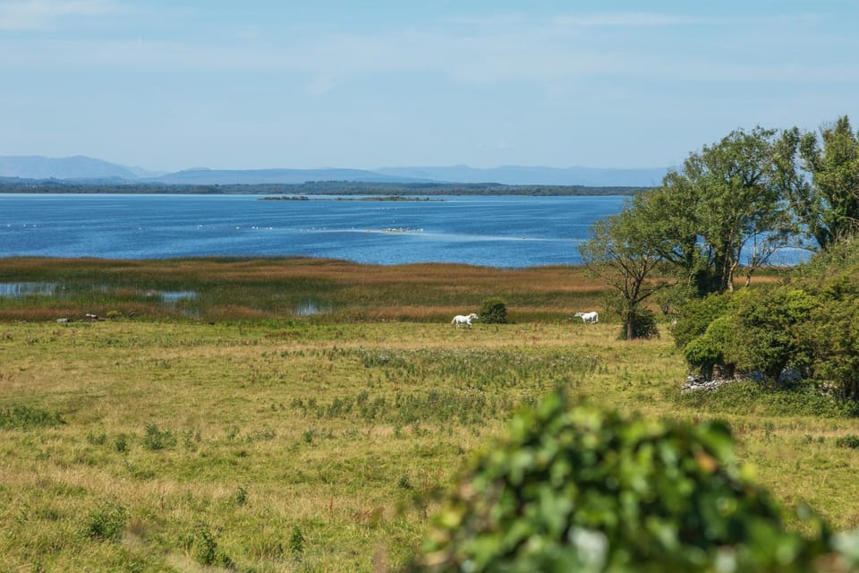 Coach House Cottage on the shores of Lough Corrib House in Galway