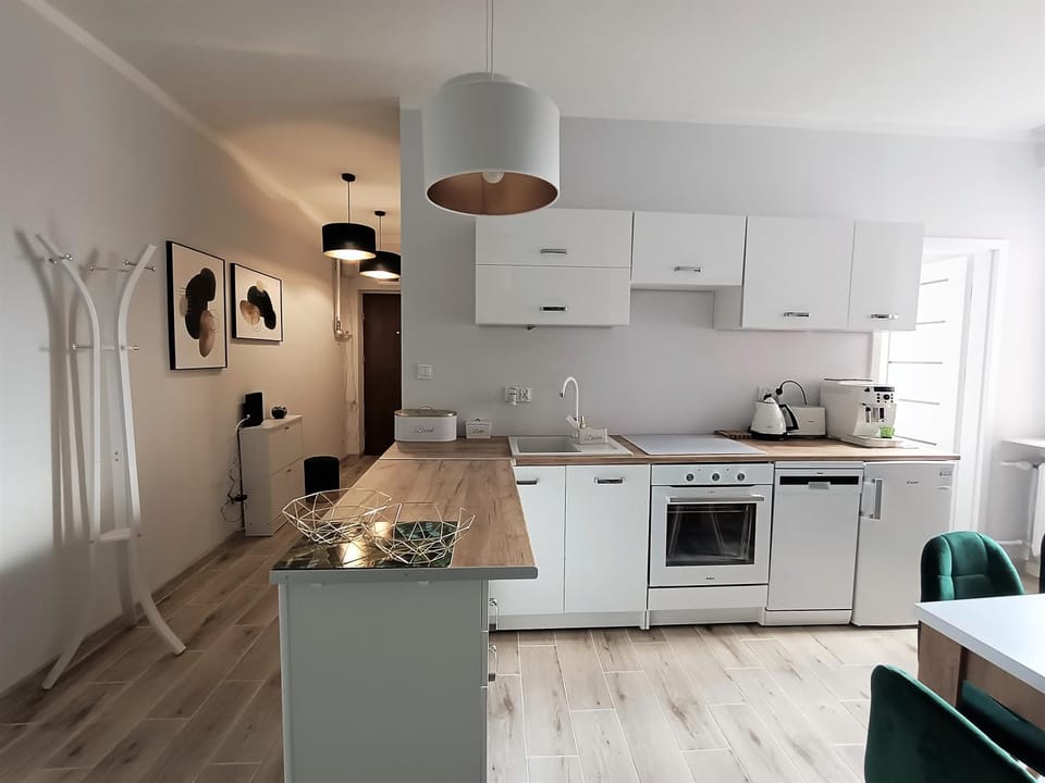 Szmaragdowy apartament przy ulicy Opolskiej Apartment in Czechia