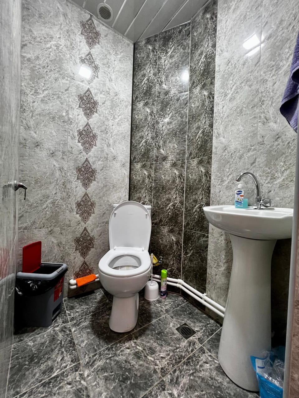 Toilet