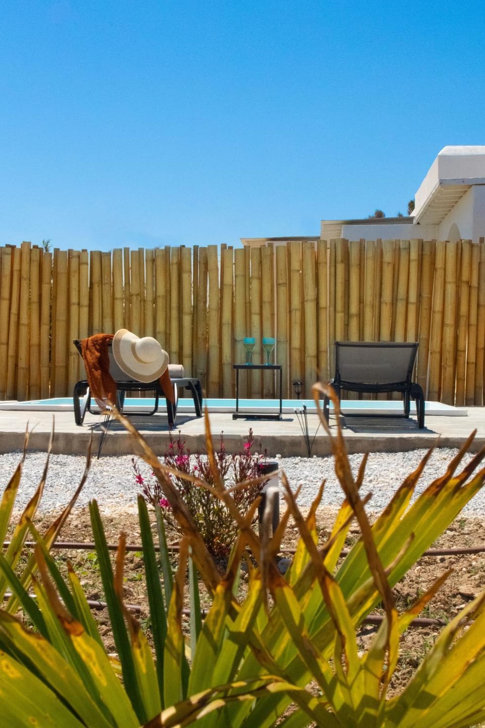 Garden, Garden view, Pool view, Swimming pool, Inner courtyard view