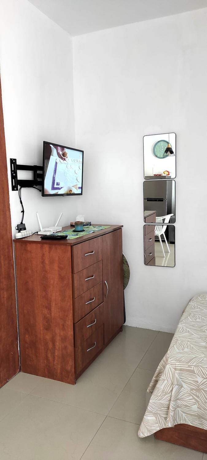 TV and multimedia