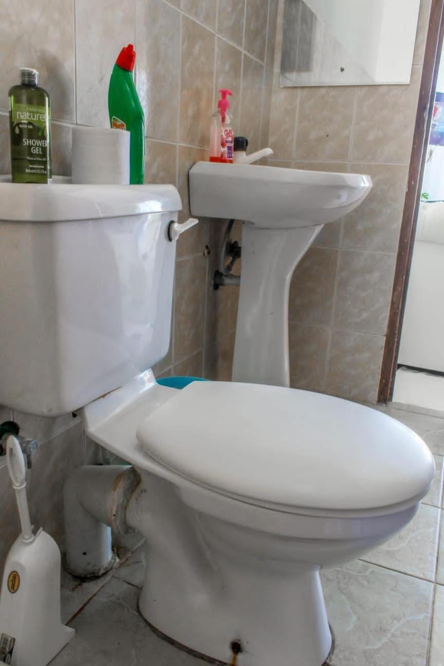 Shower, Toilet, Bathroom, bidet
