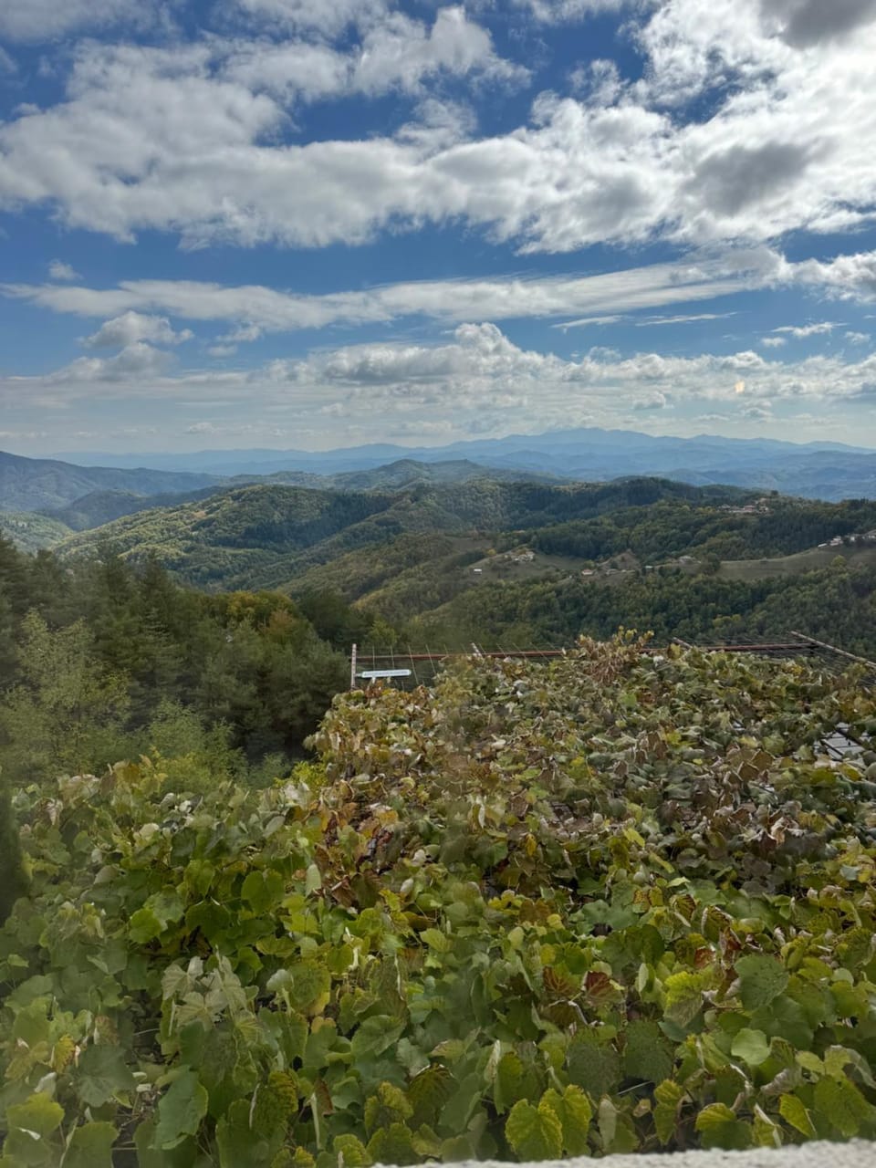 Александрова вила 1 Bed and Breakfast in Decentralized Administration of Macedonia and Thrace