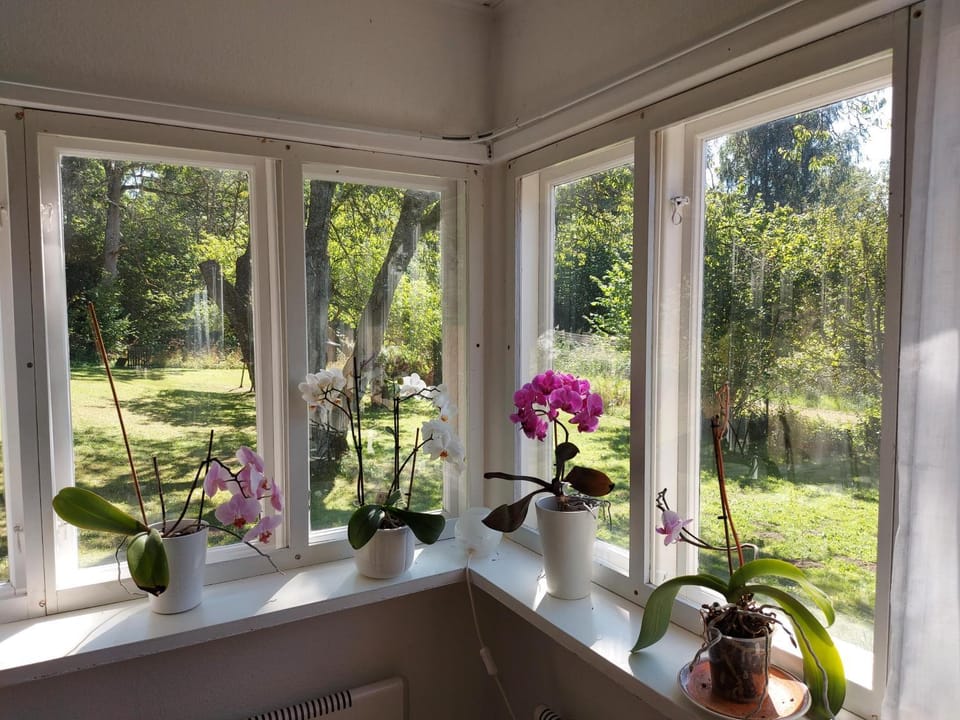 Living room, Garden view