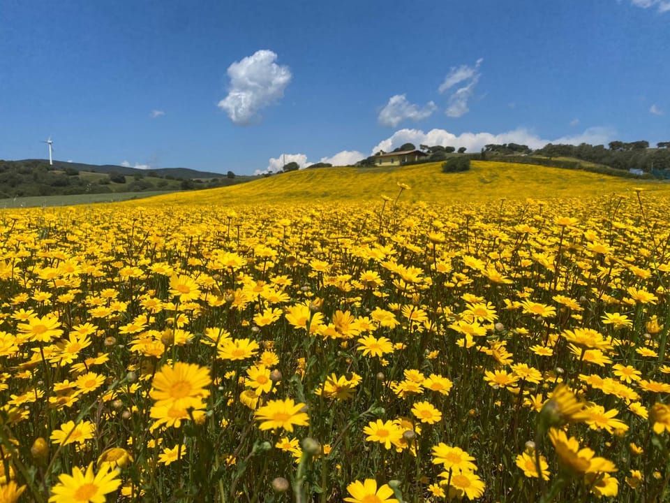 Day, Natural landscape, Mountain view