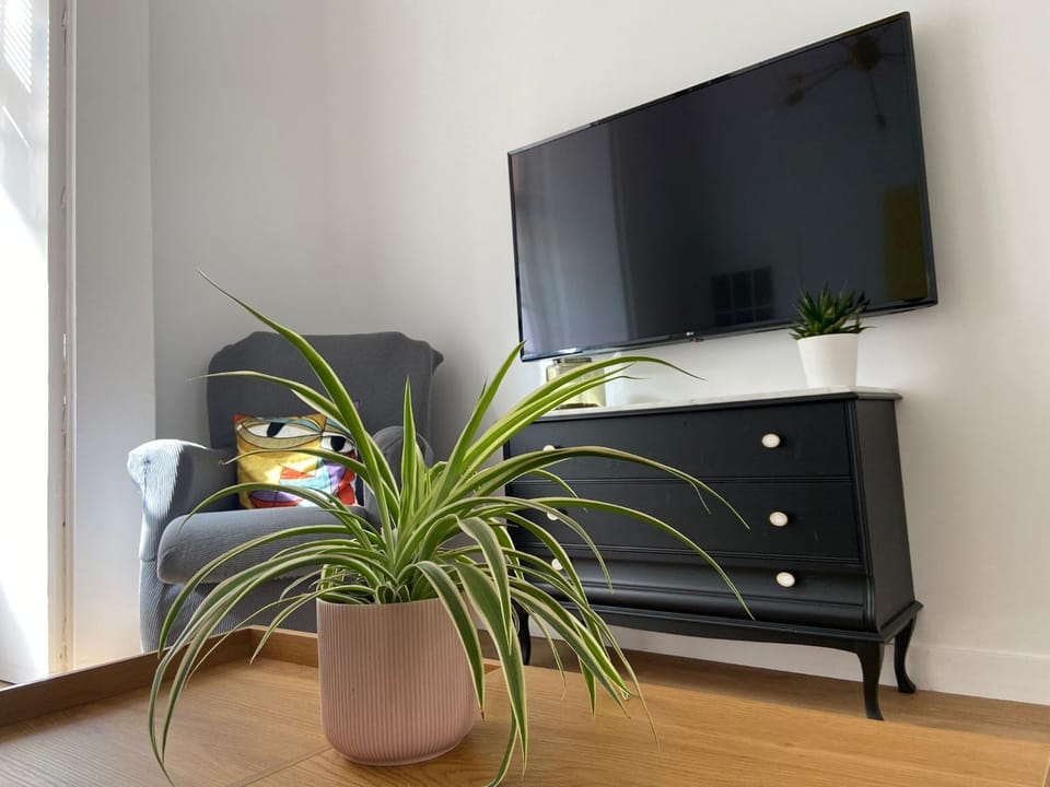 Communal lounge/ TV room, TV and multimedia