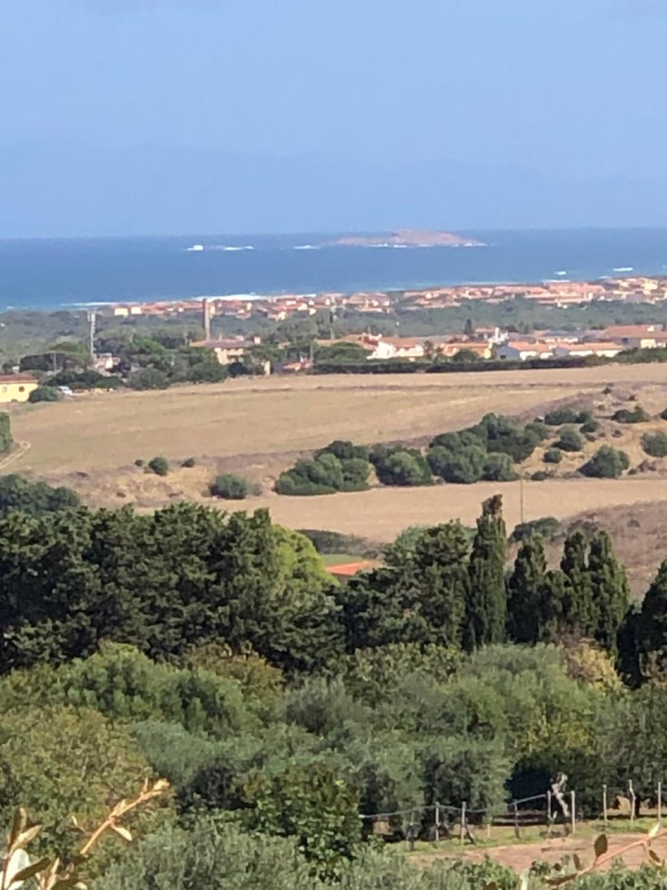 Residence L’Ulivo Apartment in Sardinia