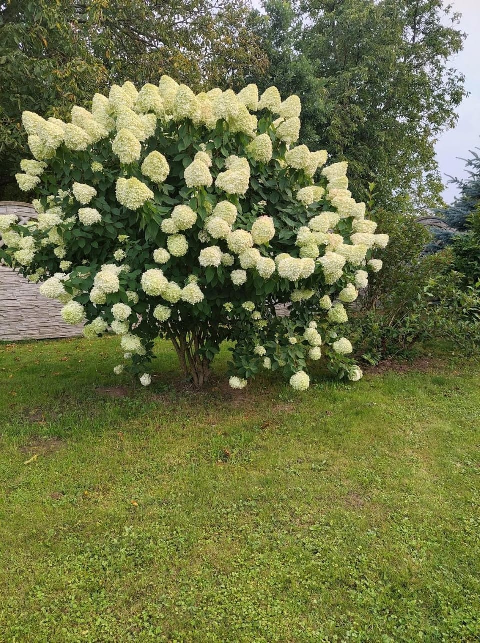 Garden, Garden