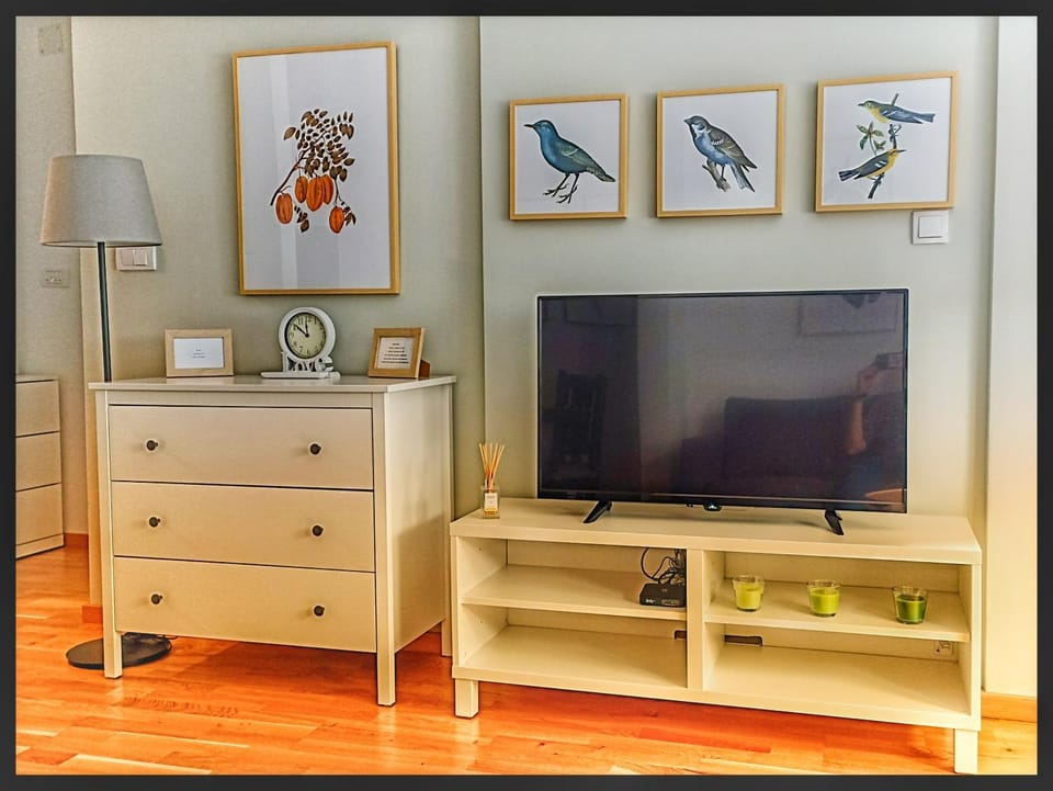 TV and multimedia